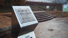 2016年11月あけぼの子どもの森公園_2
