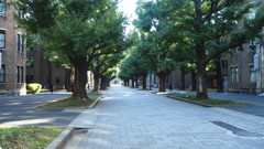 2016年10月東京大学_1