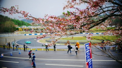 2018年4月GT開幕戦岡山①_桜とサーキット