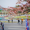 2018年4月GT開幕戦岡山①_桜とサーキット