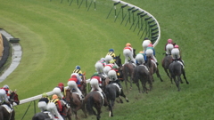 2011年5月日本ダービ_3