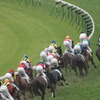 2011年5月日本ダービ_3