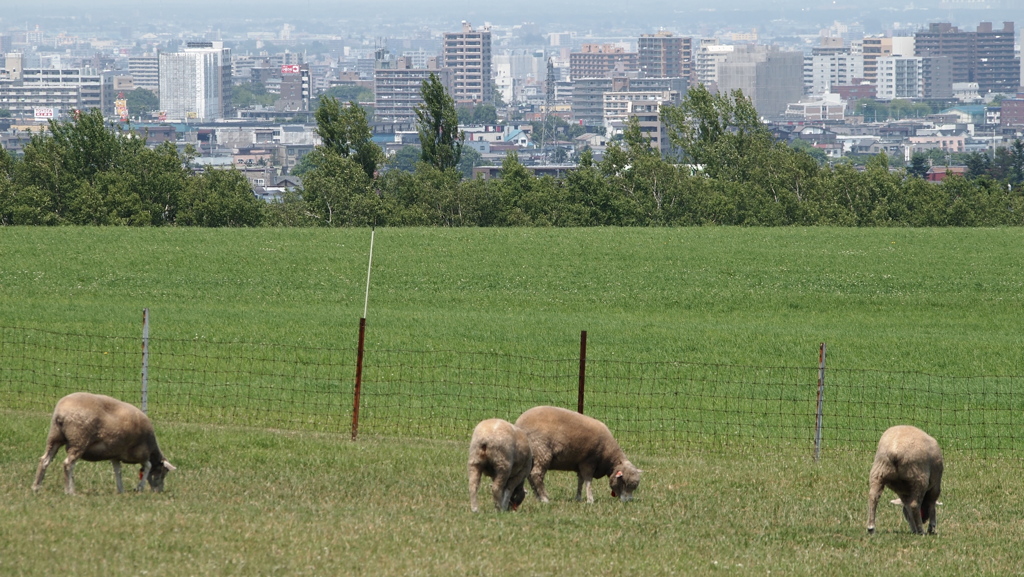 2012年6月北海道旅行_62