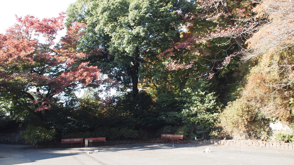 2013年11月唐沢山_1