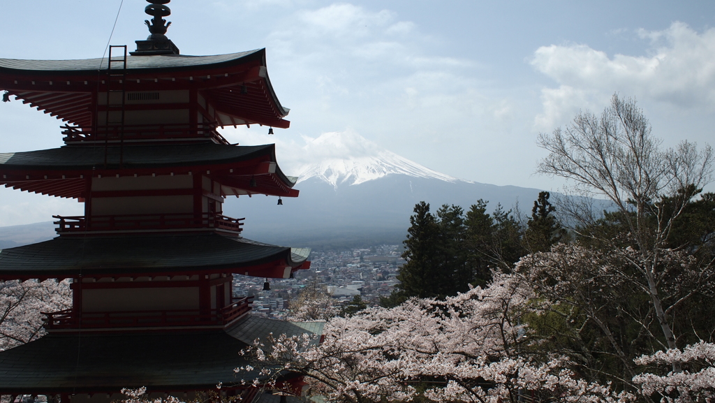 2015年4月新倉山浅間公園_1