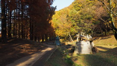 2016年11月あけぼの子どもの森公園_4