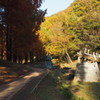 2016年11月あけぼの子どもの森公園_4