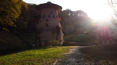 2016年11月あけぼの子どもの森公園_6