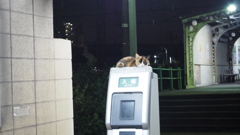 2016年9月扇町駅（夜）_1