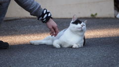 2015年11月山梨_3