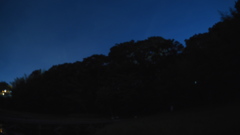 2017年5月厳島湿生公園・ホタル観賞_1