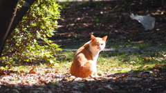2012年10月若洲公園_3