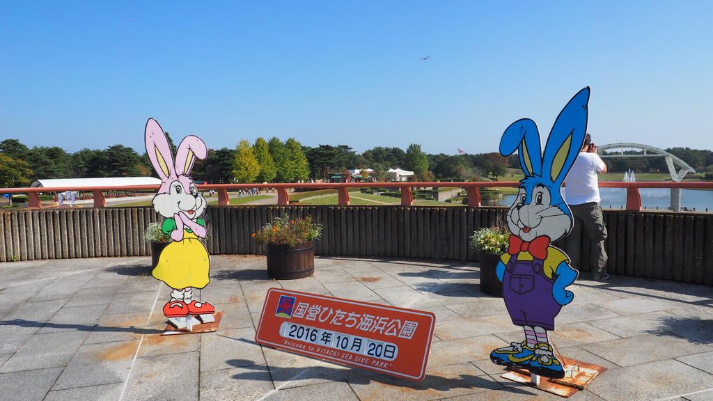2016年10月ひたち海浜公園_1