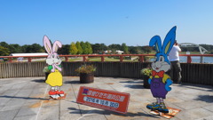 2016年10月ひたち海浜公園_1
