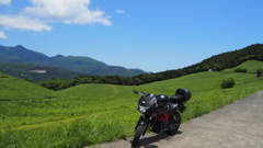 2016年6月伊豆_1
