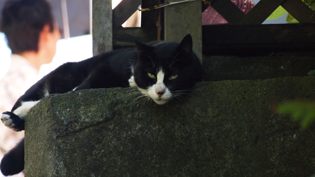 2010年10月江ノ島_2
