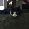 2010年10月江ノ島_2