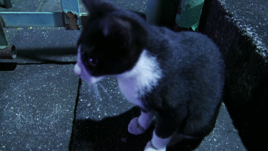 2016年10月扇町駅（夜）_3