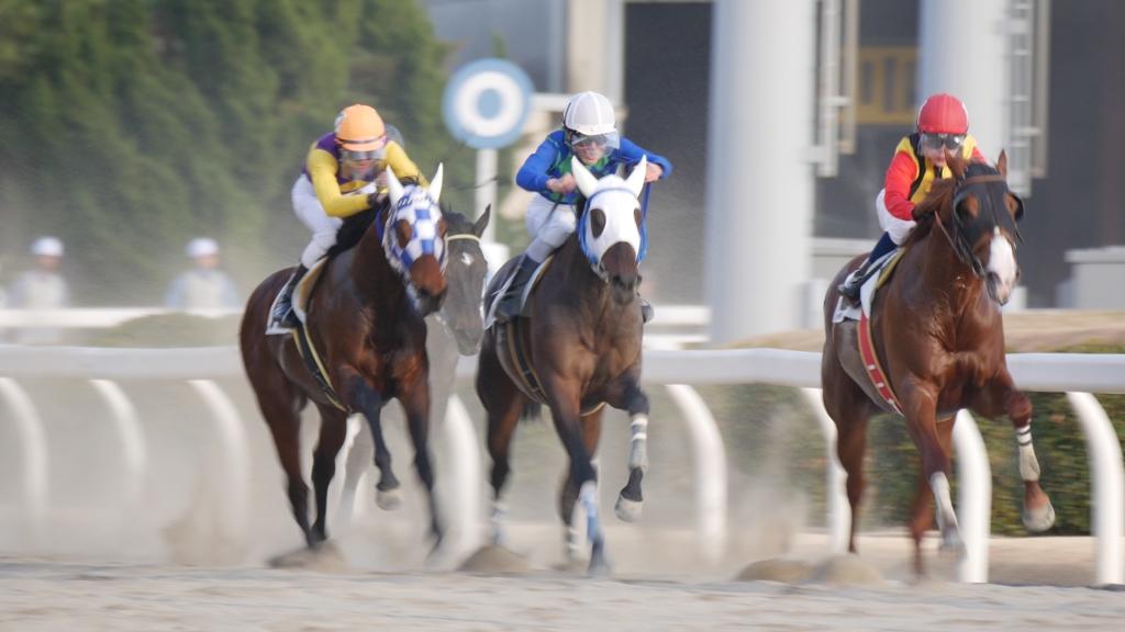 2017年1月川崎競馬場・予告