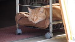 2012年12月恋人岬_2