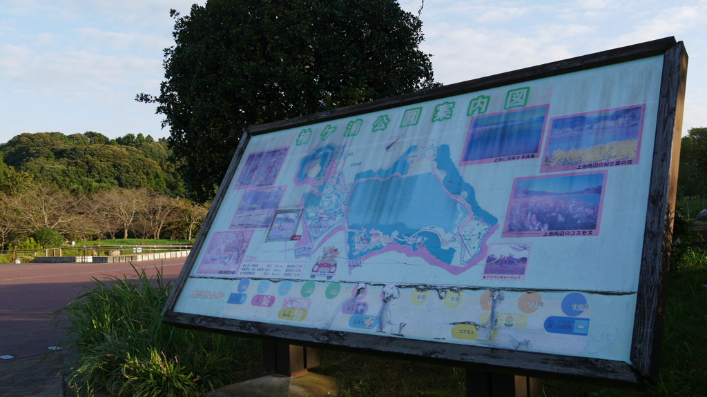 2016年10月袖ヶ浦公園_4