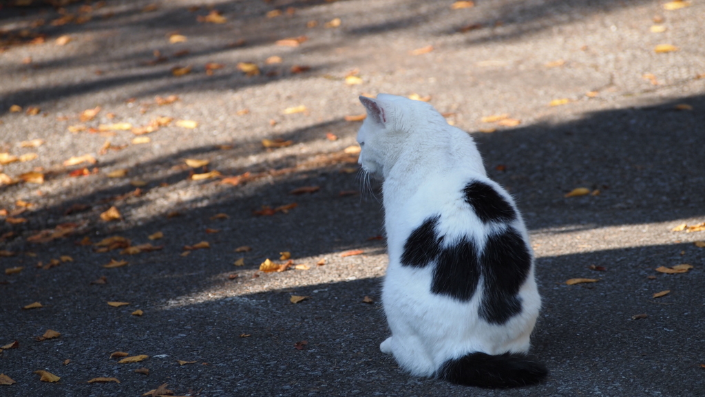 2013年11月唐沢山_2