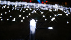 2017年1月夜間撮影_10
