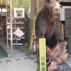 2012年6月北海道旅行_26