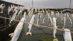 2013年6月那珂川水族館_2