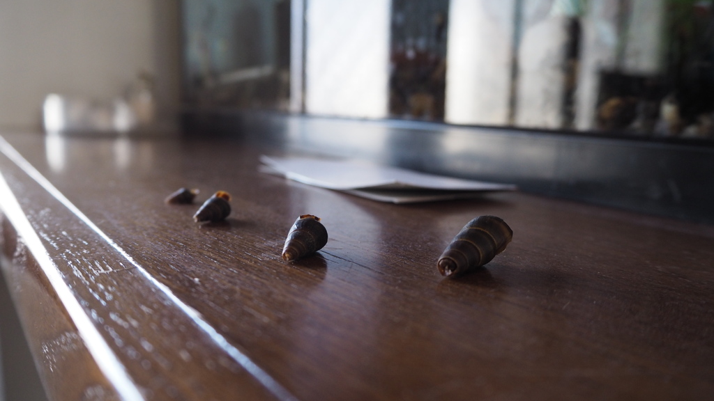 2016年11月杉浦醫院_8