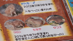 2015年1月伊豆・追加_3