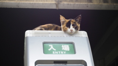 2016年9月扇町駅（夜）_2