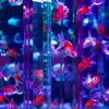 アクアリウム展２