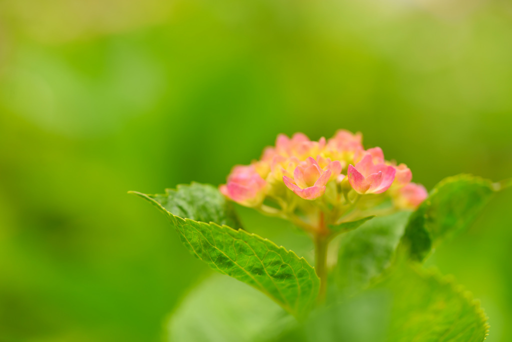 時には優しく