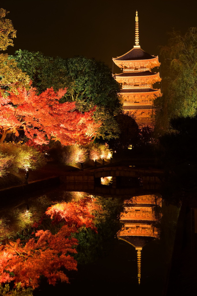 東寺ー秋ー　　あ、初冬でした