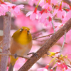 白縁メガネが似合います