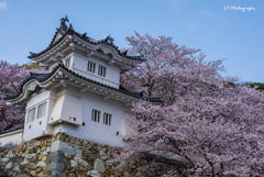 龍野城 桜2017