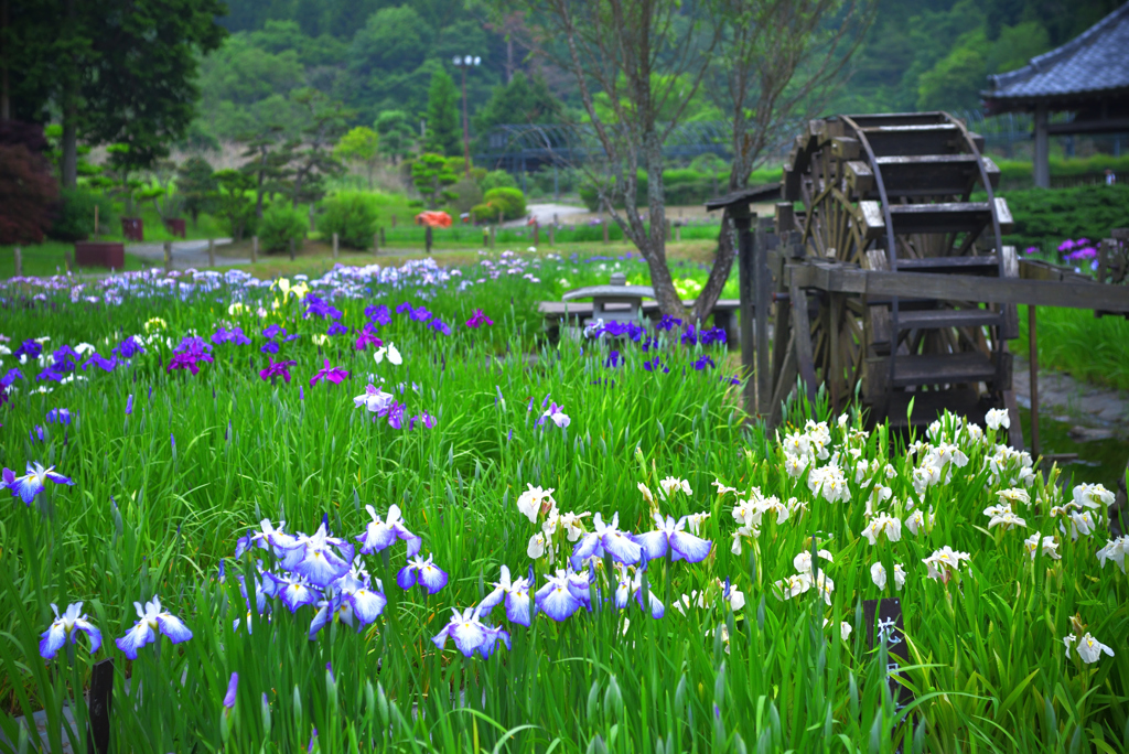 永沢寺