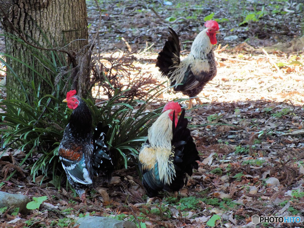 今年もいい年であります様に(^O^)／