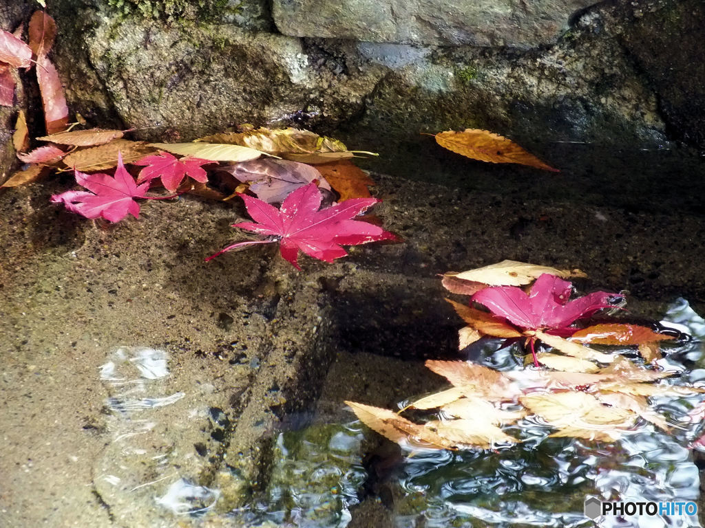 山の秋