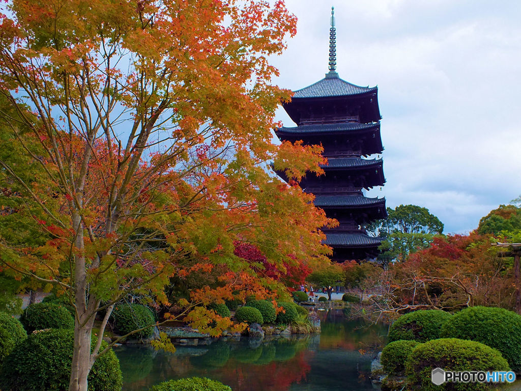 京都東寺さんの五重塔