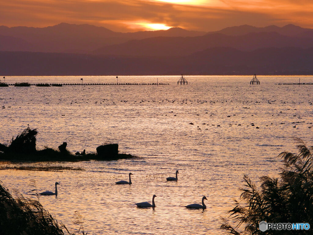 びわ湖夕照