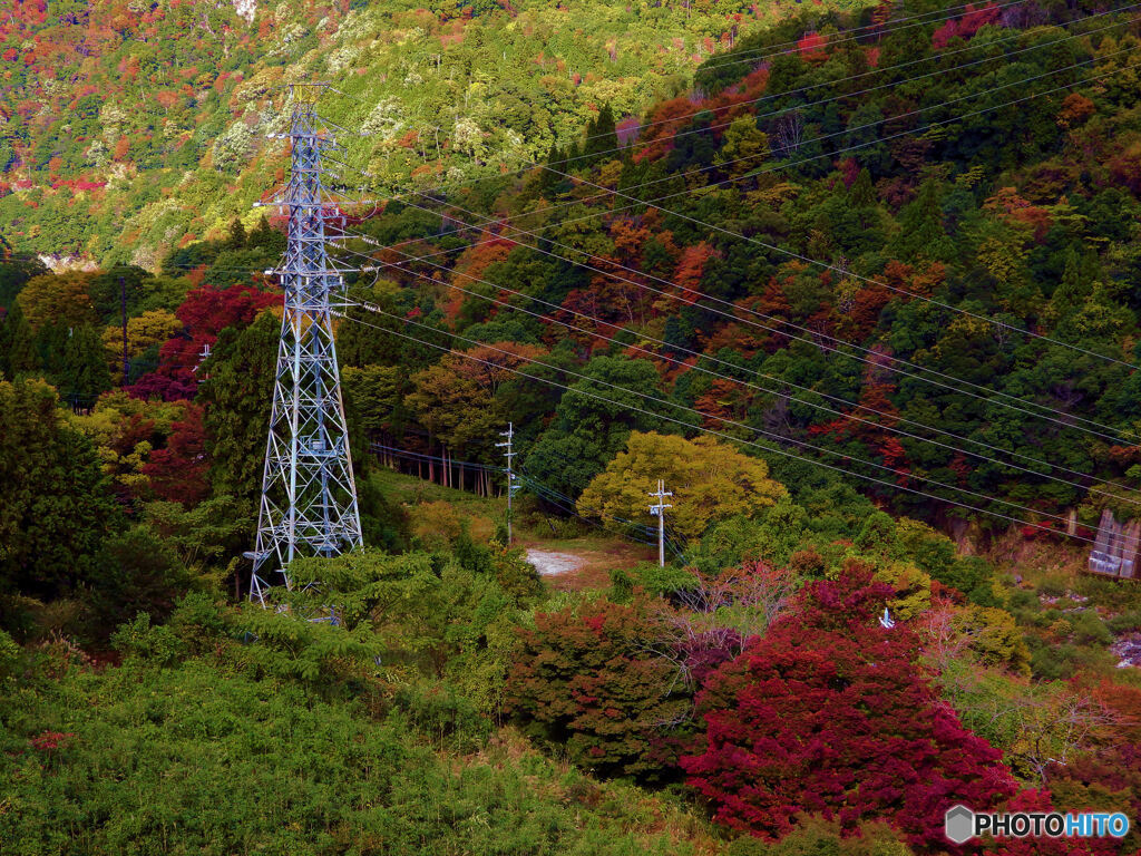 高圧鉄塔と紅葉