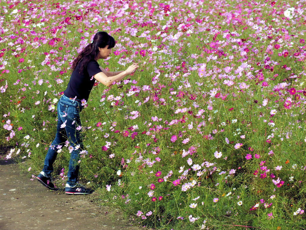 私にも写せます(^O^)／