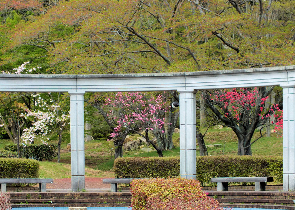 それぞれの指定席