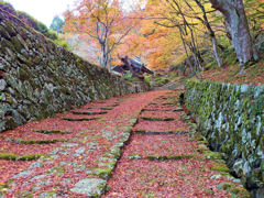 バージンロード