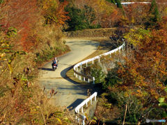 鯖街道