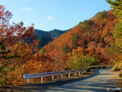 鯖街道