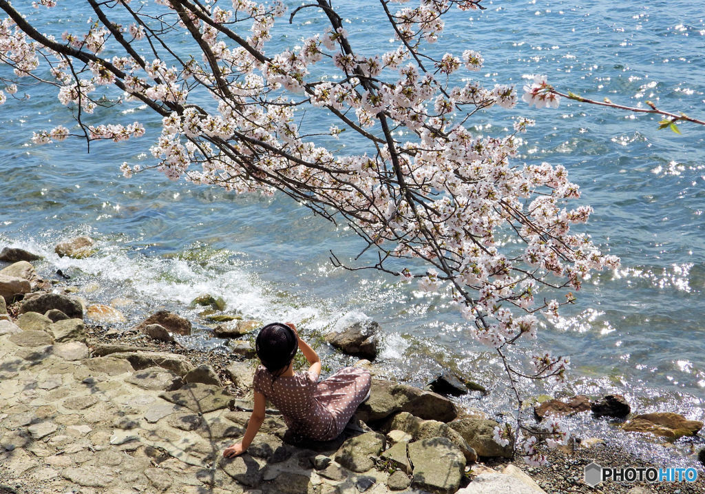 花と華