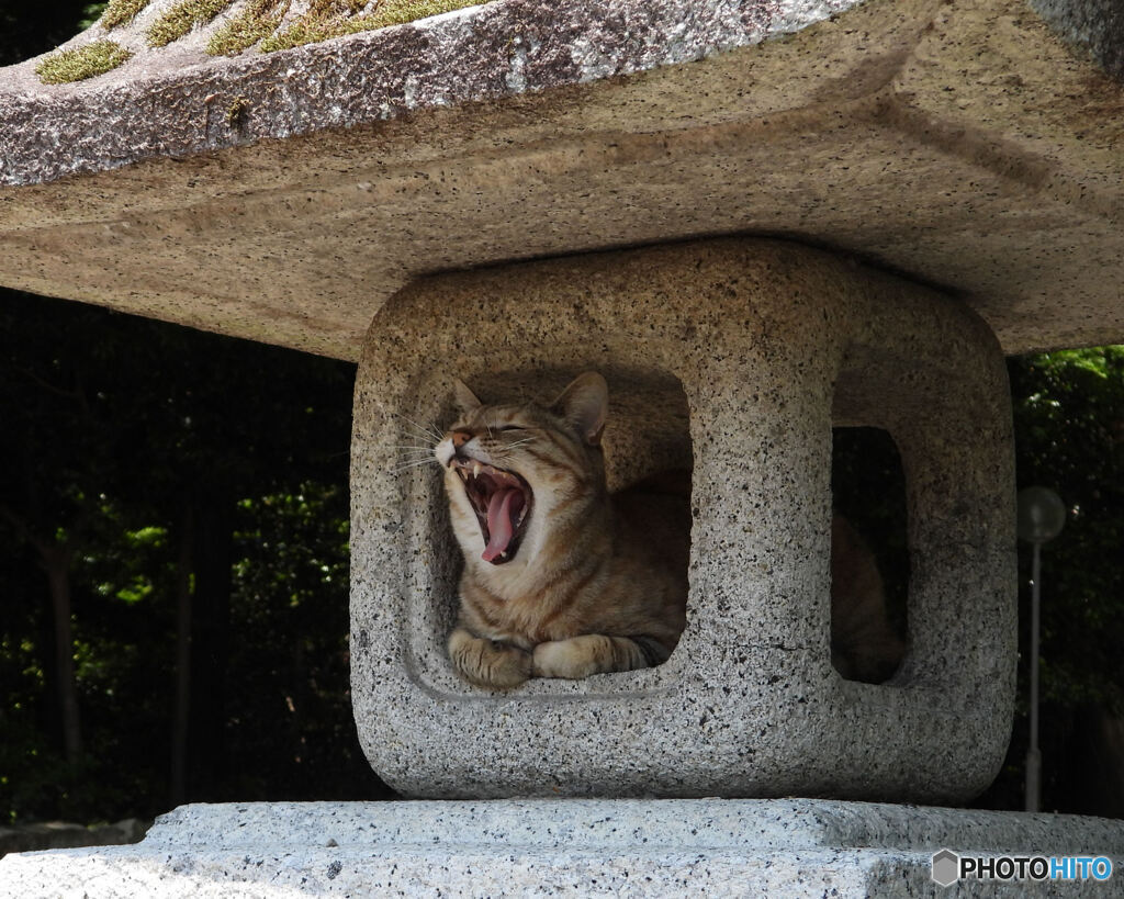 神のご加護（あぁよく眠れた）